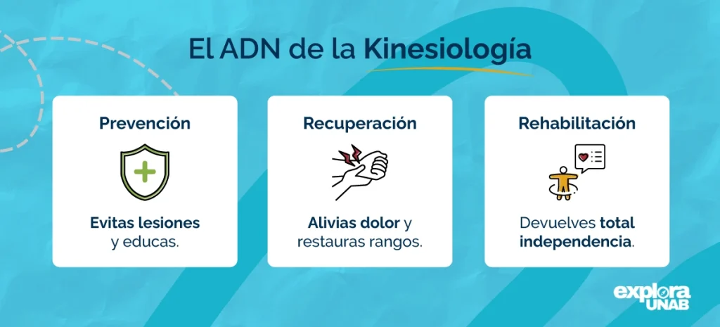infografía kinesiología: prevención, recuperación y rehabilitación