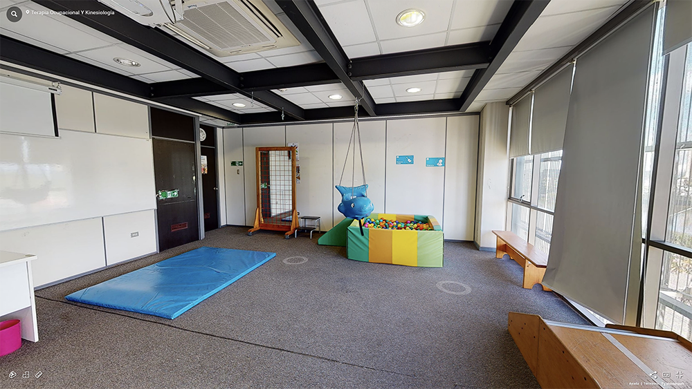 Terapia Ocupacional y Kinesiología universidad andres bello