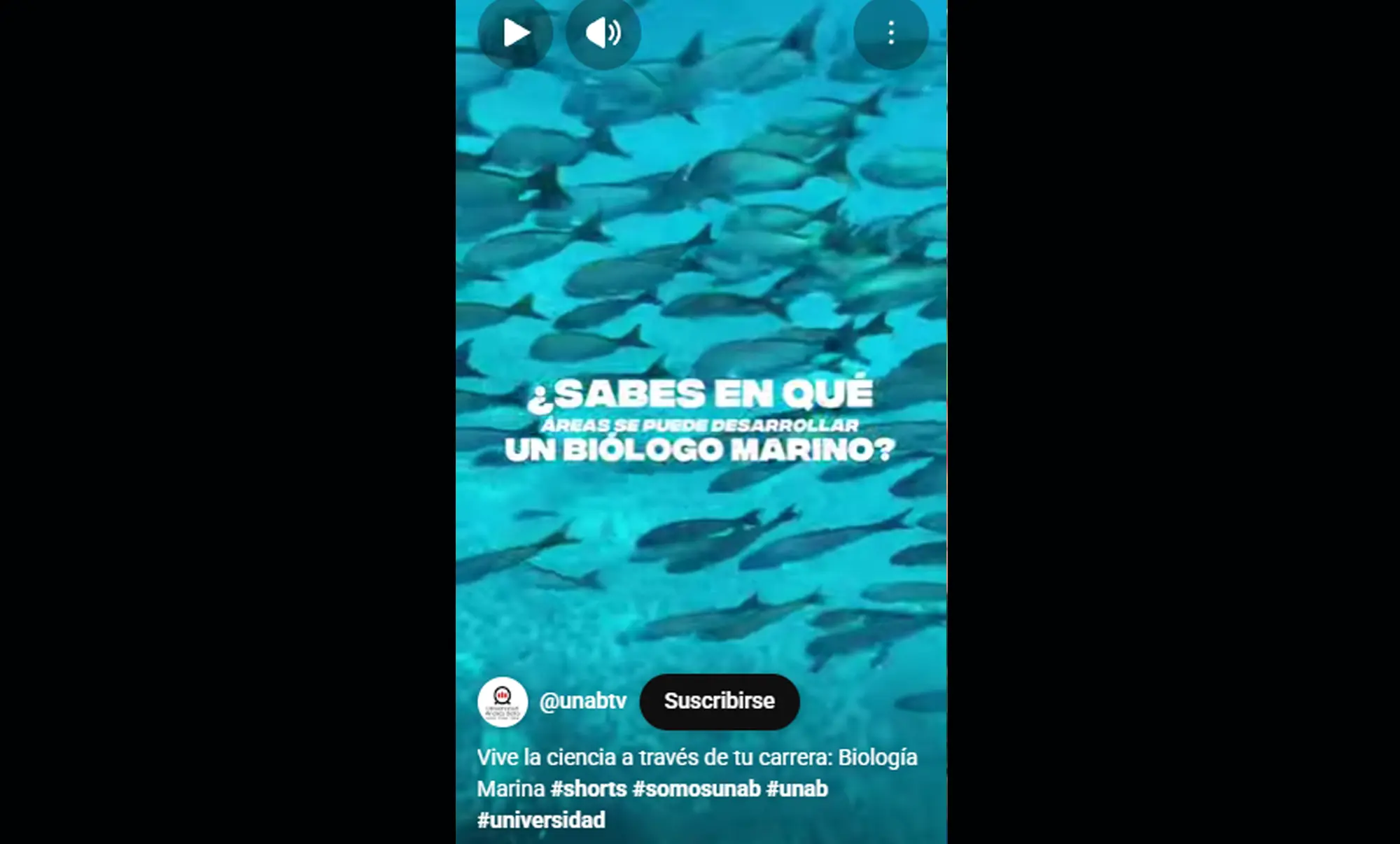 biologia marina, unab, admision