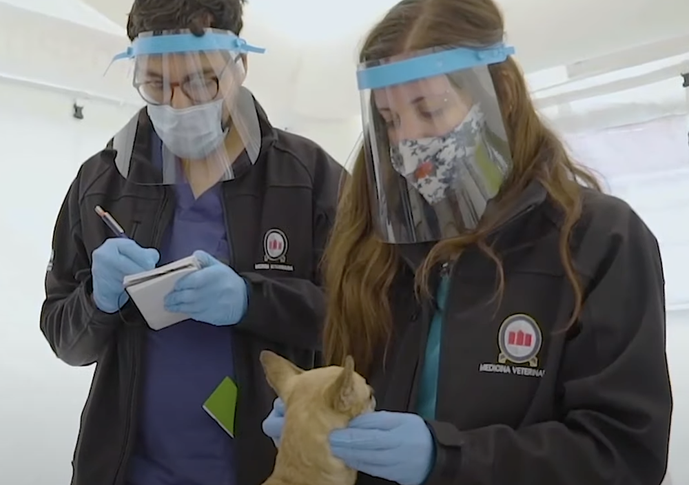 estudiantes universidad andres bello con mascarilla
