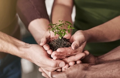 estudiar carreras del medio ambiente