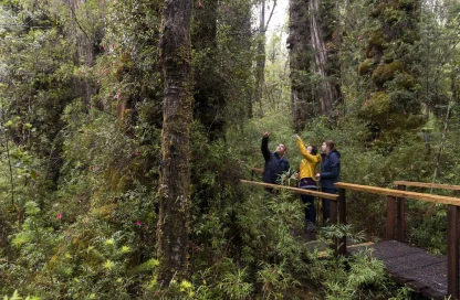 ¿Qué distingue la Administración en Ecoturismo Unab?