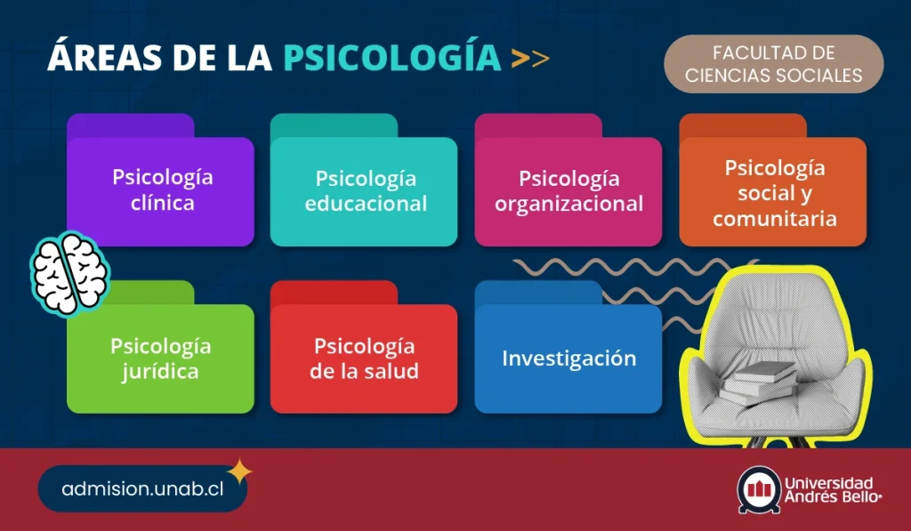 infografía con las áreas de la psicología