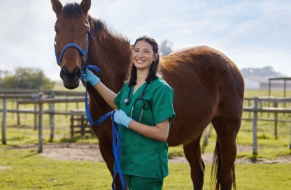 profesional veterinaria con caballo de paciente