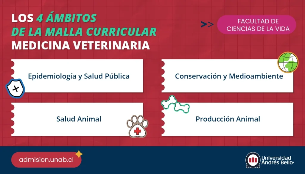 Infografía con los 4 ámbitos de la malla curricular de medicina veterinaria