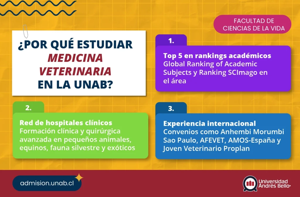 infografía sobre por qué estudiar medicina veterinaria en la unab